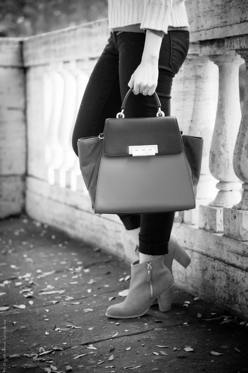 Structured Zac Posen Handbag - Stylishlyme.com