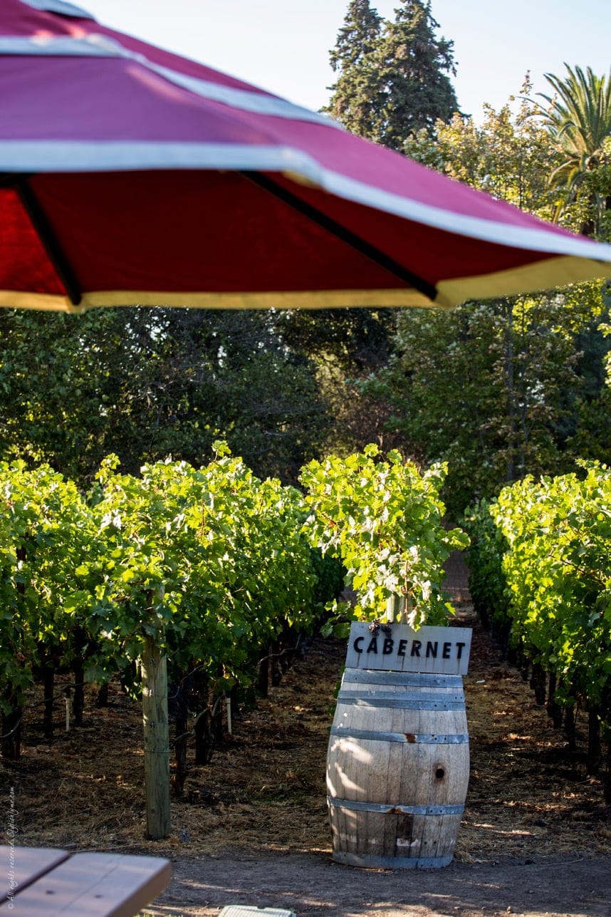 Wine tasting in Napa - September has great weather - Visit Stylishlyme.com for more outfit inspiration and style tips