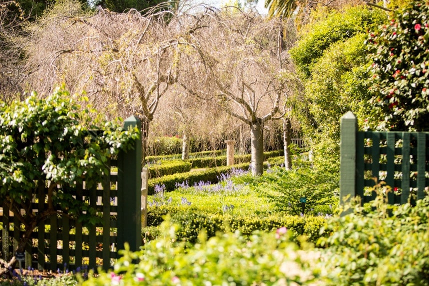 gamble gardens spring palo alto ca - Stylishlyme.com