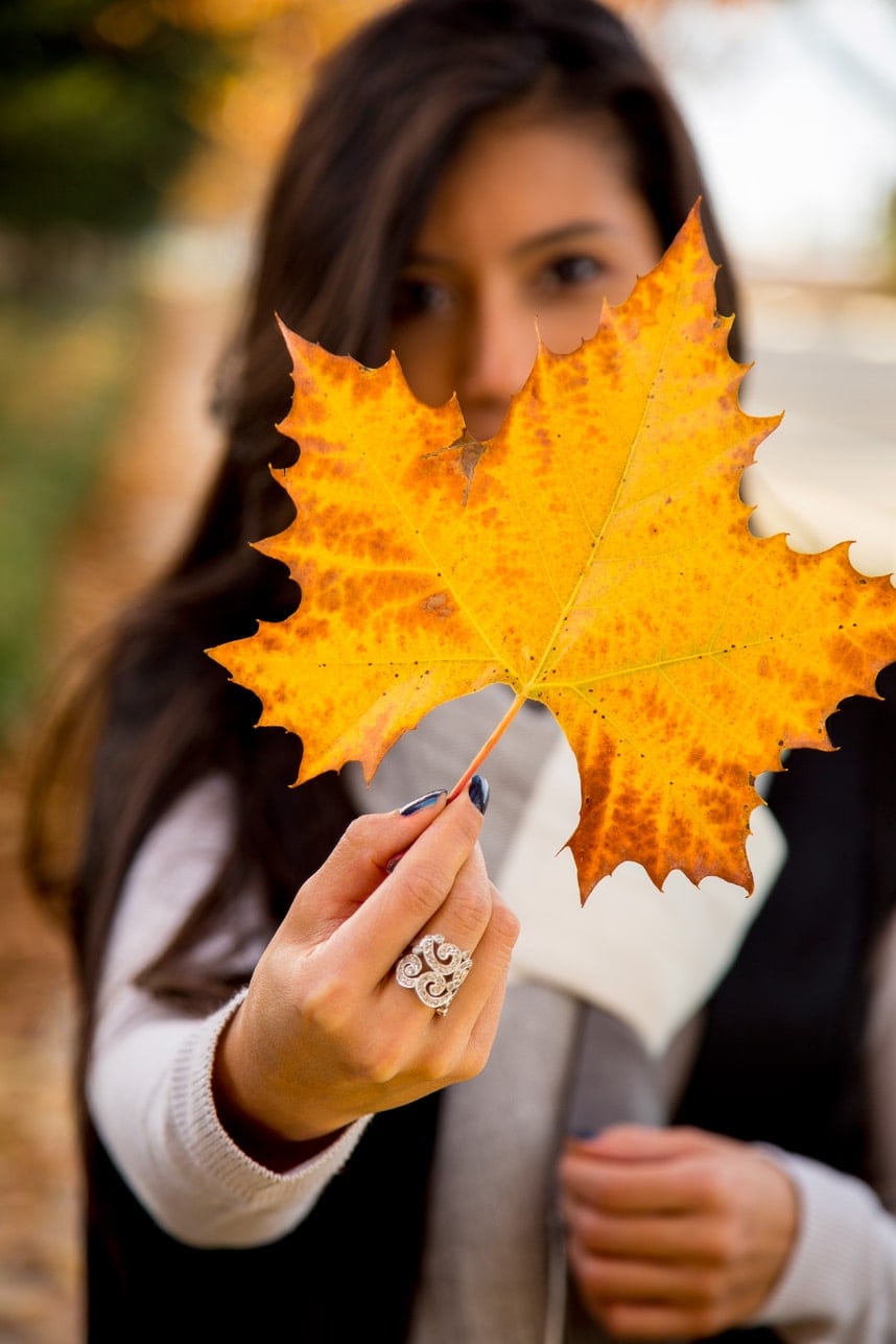 Gold Fall Leaf - Vanessa of Stylishlyme