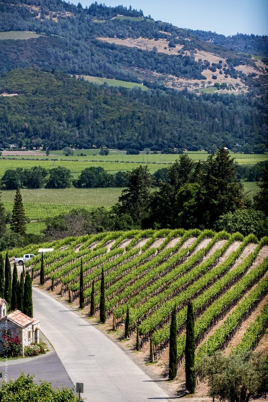 Wine tasting attire for gorgeous Napa Valley Ca